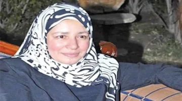 سلوكيات قسوة متكررة على منصات التواصل تؤثر على نجوم مثل أحمد السقا وعبلة كامل وتعيد فتح النقاش حول التعامل الاجتماعي على الإنترنت 1